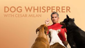 Read more about the article Cesar Milan Show Casting People Looking to Adopt a Dog in SoCal