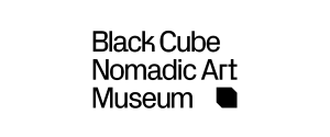 Read more about the article Black Cube Nomadic Museum Casting For an Oprah Talk Show Host Type for the film “Dirty Shirley” in Denver Area
