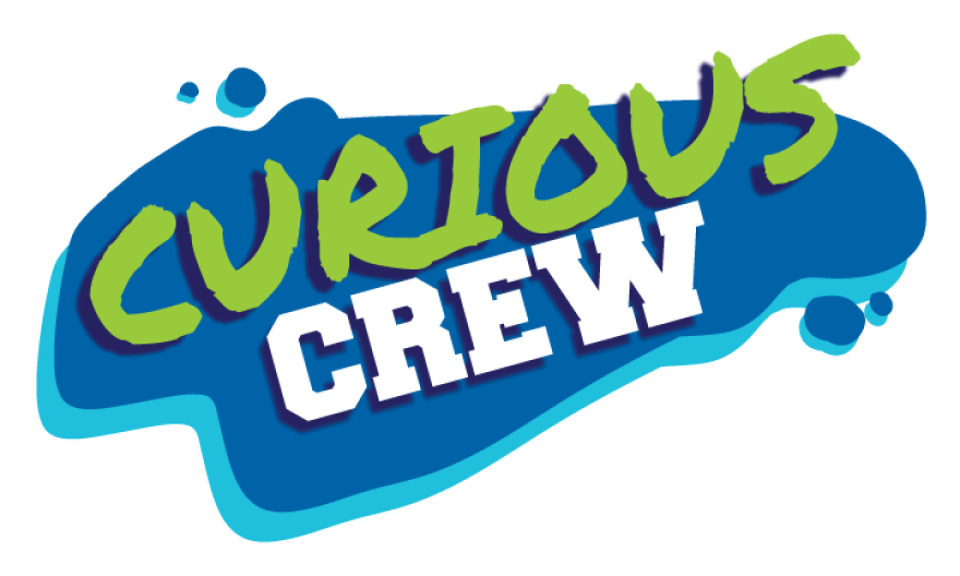 Read more about the article Kids Auditions in Lansing, Michigan for WKAR’s “The Curious Crew”