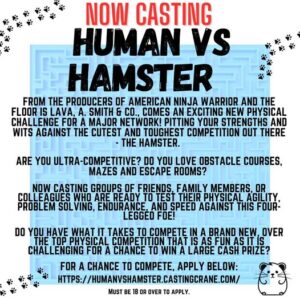 Read more about the article Casting Call for Human Vs. Hamster Reality Competition Show – East Coast Families & Friends