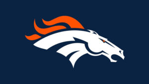 Denver Broncos Cheerleader Tryouts for 2024