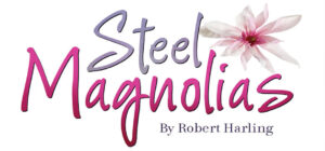 Read more about the article Open Theater Auditions in Walker Bay, Minnesota for “Steal Magnolias”