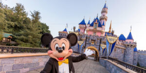 Read more about the article Disney Auditions in Orlando, Florida – Families