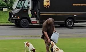 Read more about the article Casting Dog Owners in Nashville for Commercial – Pays $1900