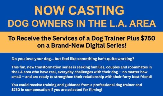 Read more about the article Dog Show Casting Los Angeles Dog Owners With Unruly Dogs